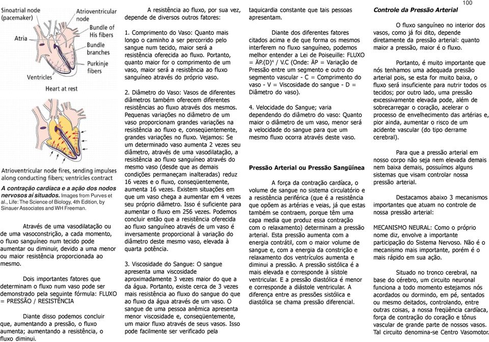 Dois importantes fatores que determinam o fluxo num vaso pode ser demonstrado pela seguinte fórmula: FLUXO = PRESSÃO / RESISTÊNCIA Diante disso podemos concluir que, aumentando a pressão, o fluxo