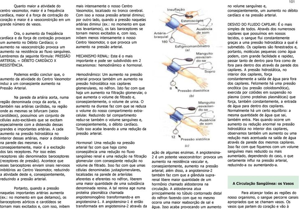 Lembremos da seguinte fórmula: PRESSÃO ARTERIAL = DÉBITO CARDÍACO X RESISTÊNCIA.