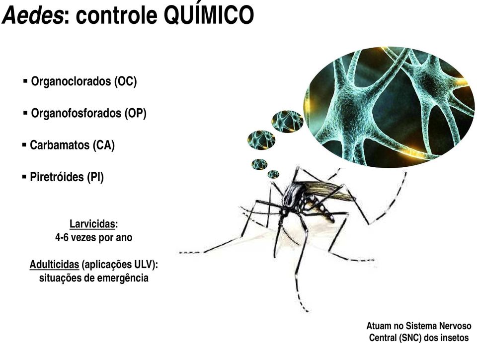 Larvicidas: 4-6 vezes por ano Adulticidas (aplicações