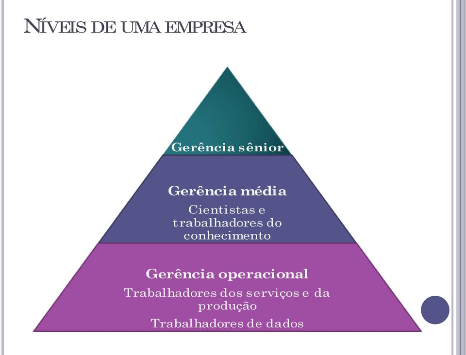 conhecimento Gerência operacional