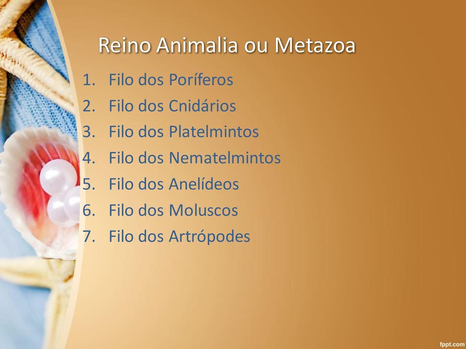 Filo dos Platelmintos 4.