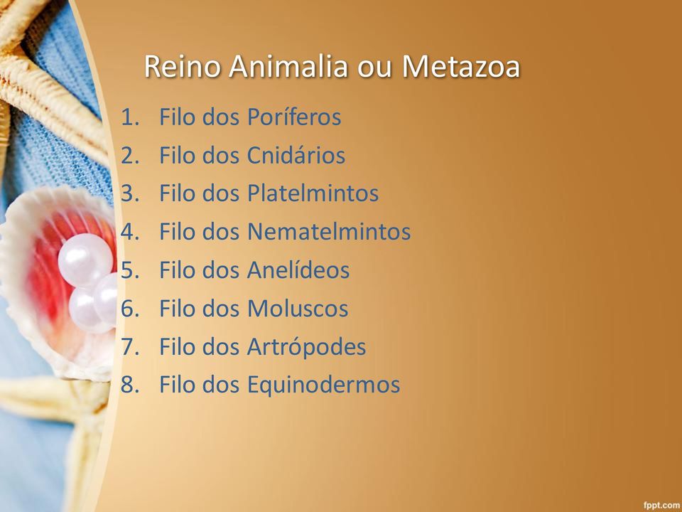 Filo dos Nematelmintos 5. Filo dos Anelídeos 6.