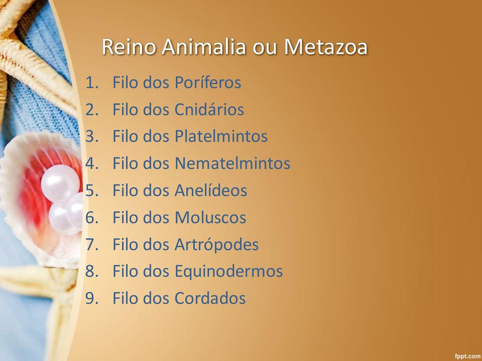 Filo dos Anelídeos 6. Filo dos Moluscos 7.