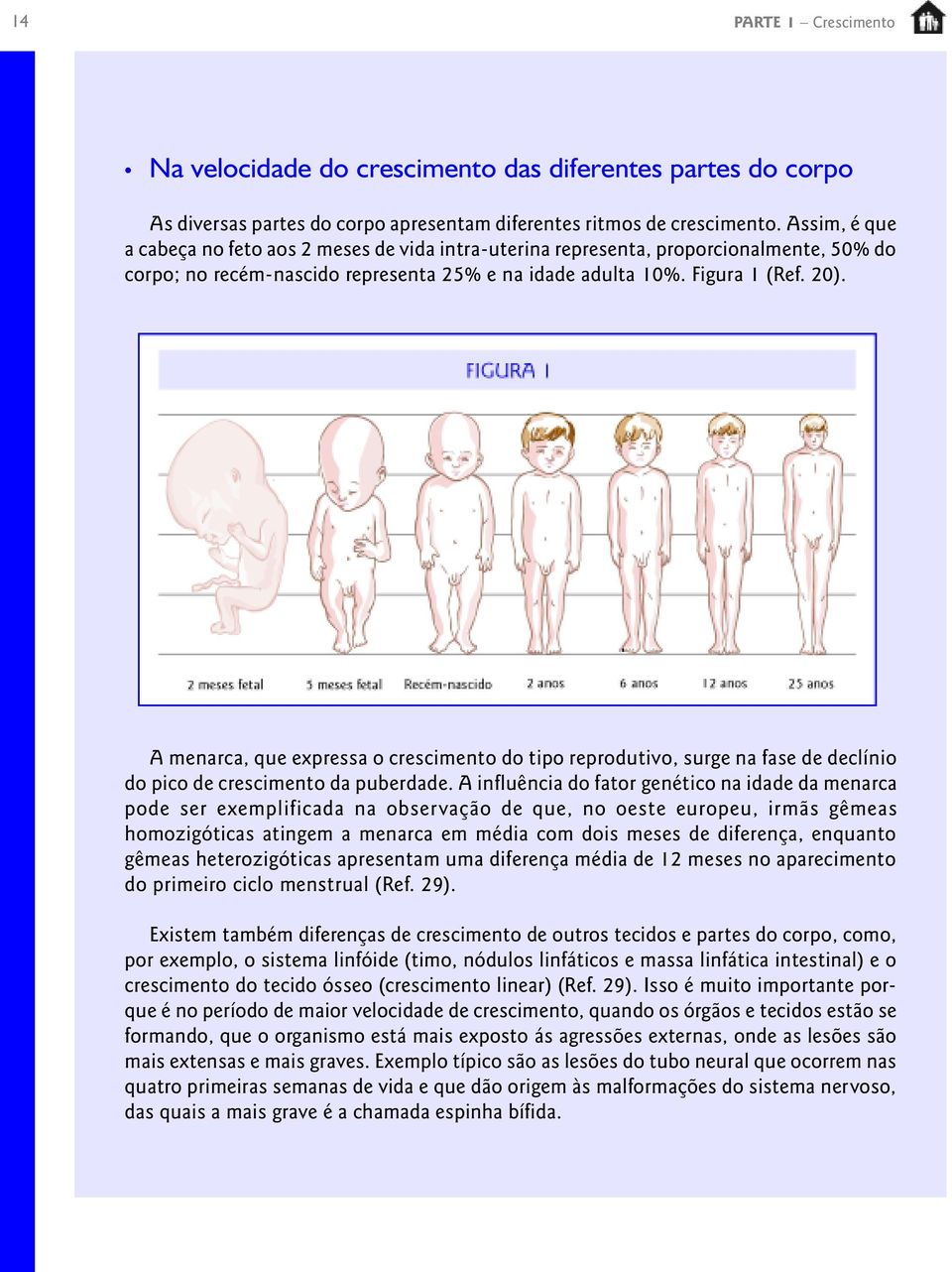 A menarca, que expressa o crescimento do tipo reprodutivo, surge na fase de declínio do pico de crescimento da puberdade.