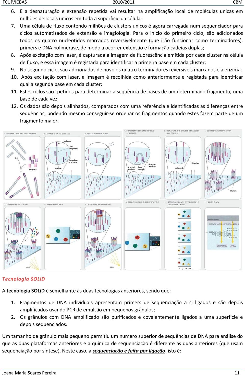 Para o inicio do primeiro ciclo, são adicionados todos os quatro nucleótidos marcados reversivelmente (que irão funcionar como terminadores), primers e DNA polimerase, de modo a ocorrer extensão e