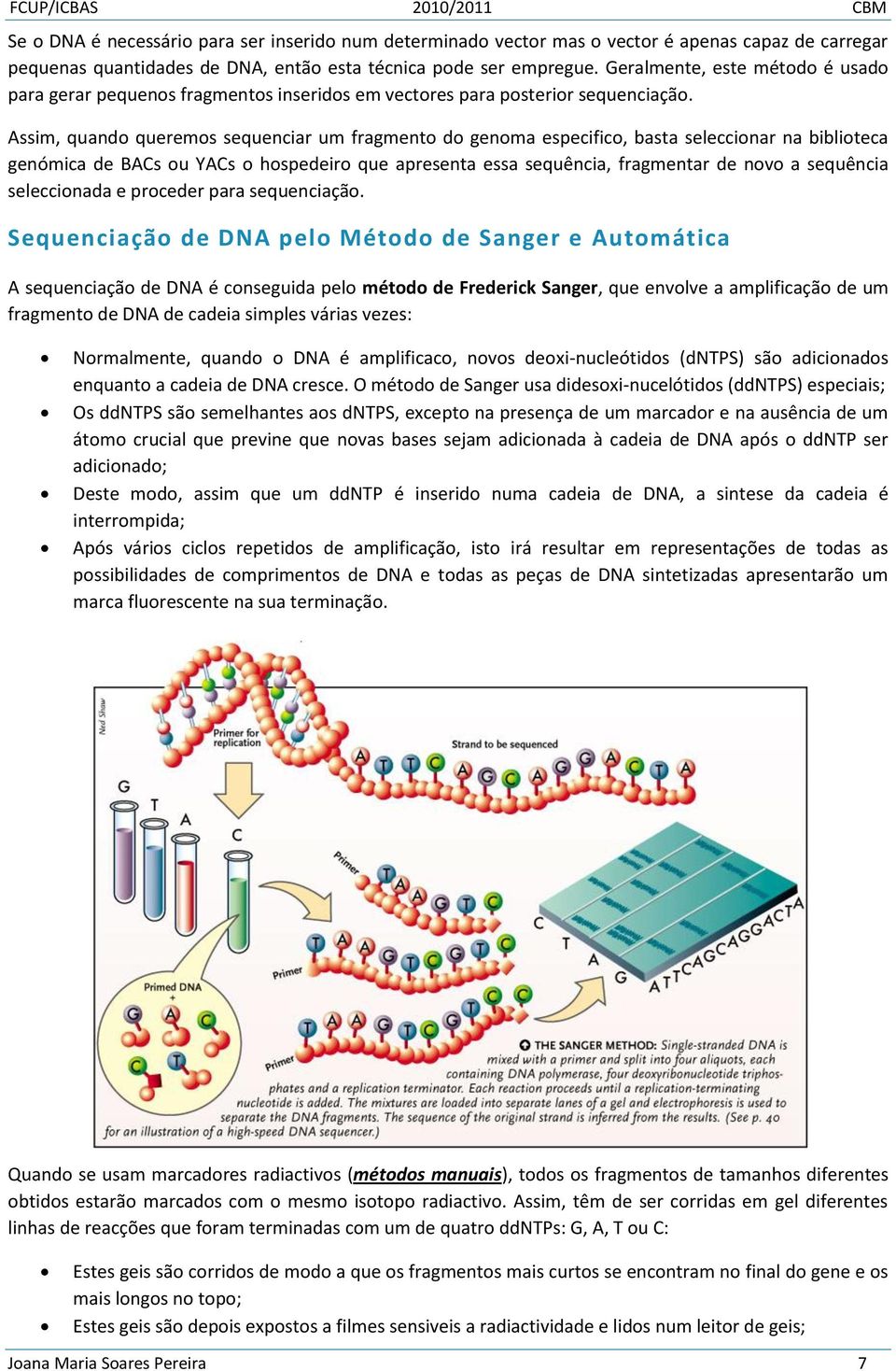 Assim, quando queremos sequenciar um fragmento do genoma especifico, basta seleccionar na biblioteca genómica de BACs ou YACs o hospedeiro que apresenta essa sequência, fragmentar de novo a sequência