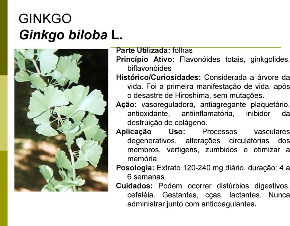 Ação: vasoreguladora, antiagregante plaquetário, antioxidante, antiinflamatória, inibidor da destruição de colágeno.