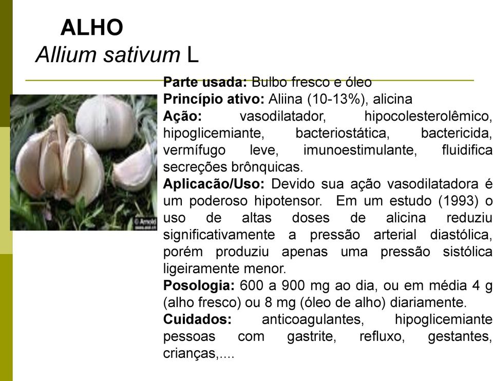 Em um estudo (1993) o uso de altas doses de alicina reduziu significativamente a pressão arterial diastólica, porém produziu apenas uma pressão sistólica ligeiramente menor.