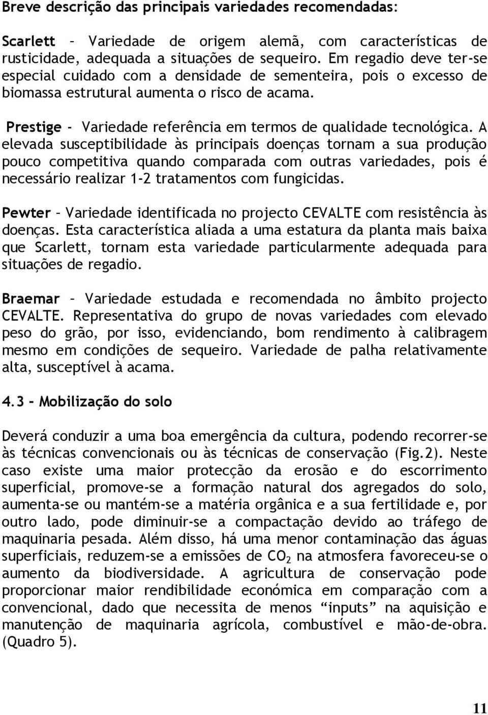 Prestige - Variedade referência em termos de qualidade tecnológica.