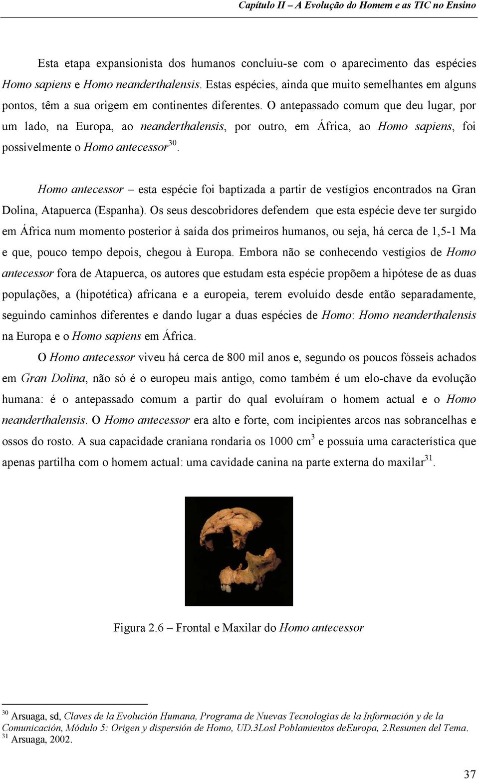 O antepassado comum que deu lugar, por um lado, na Europa, ao neanderthalensis, por outro, em África, ao Homo sapiens, foi possivelmente o Homo antecessor 30.