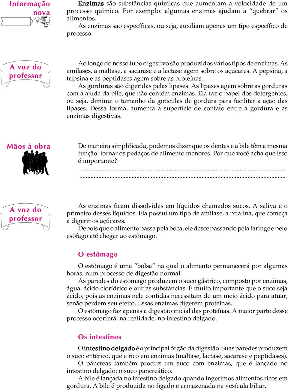 As amilases, a maltase, a sacarase e a lactase agem sobre os açúcares. A pepsina, a tripsina e as peptidases agem sobre as proteínas. As gorduras são digeridas pelas lipases.