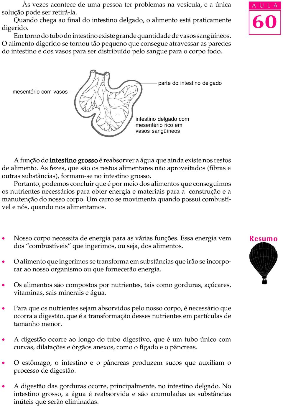 O alimento digerido se tornou tão pequeno que consegue atravessar as paredes do intestino e dos vasos para ser distribuído pelo sangue para o corpo todo.