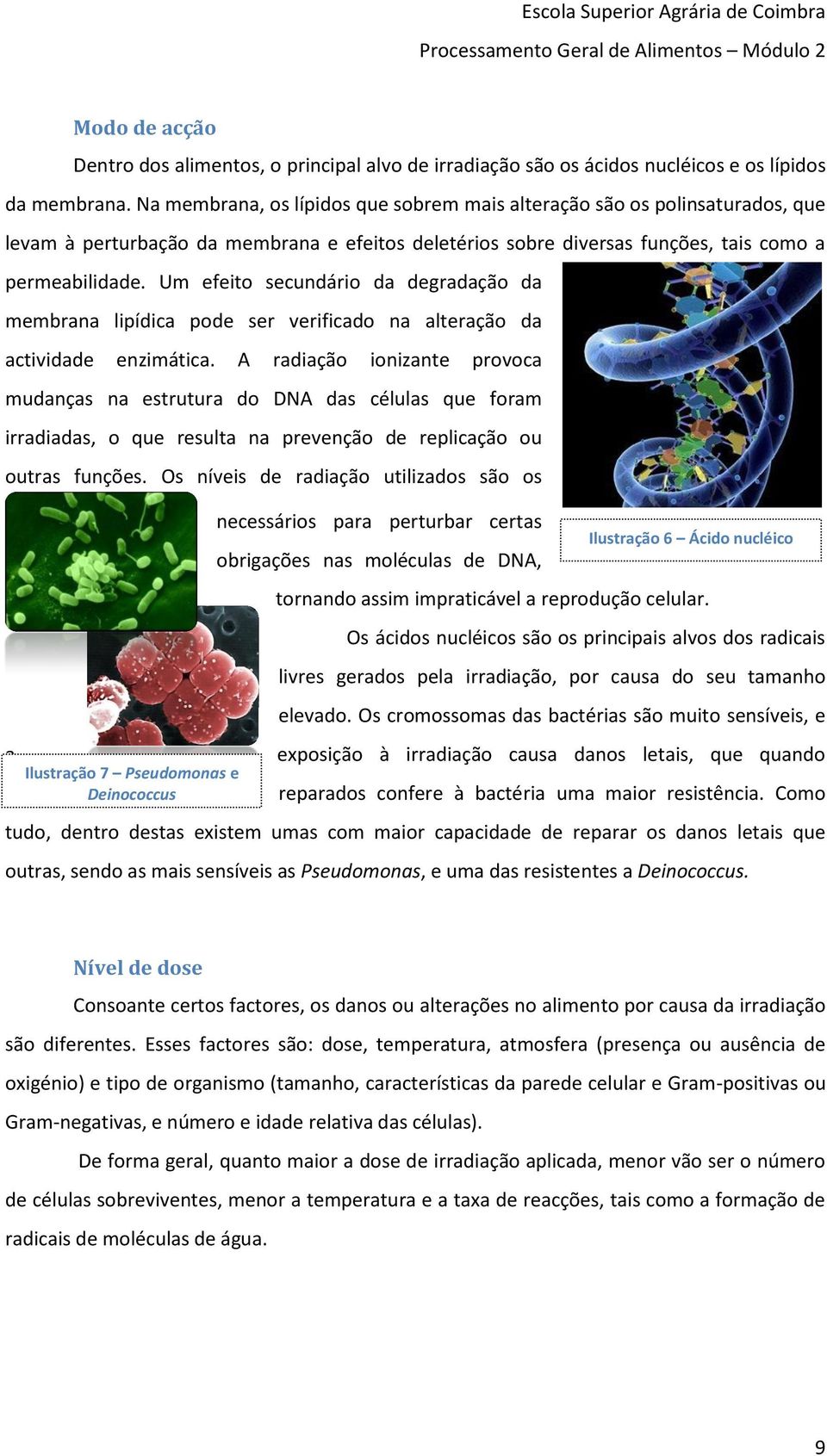 Um efeito secundário da degradação da membrana lipídica pode ser verificado na alteração da actividade enzimática.