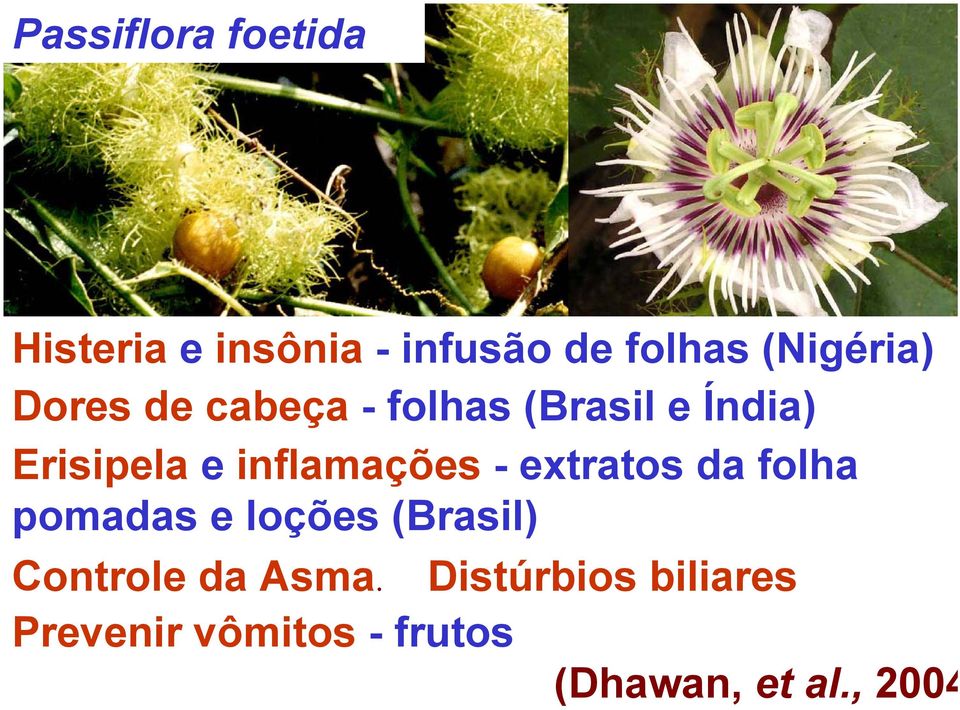 inflamações - extratos da folha pomadas e loções (Brasil) Controle