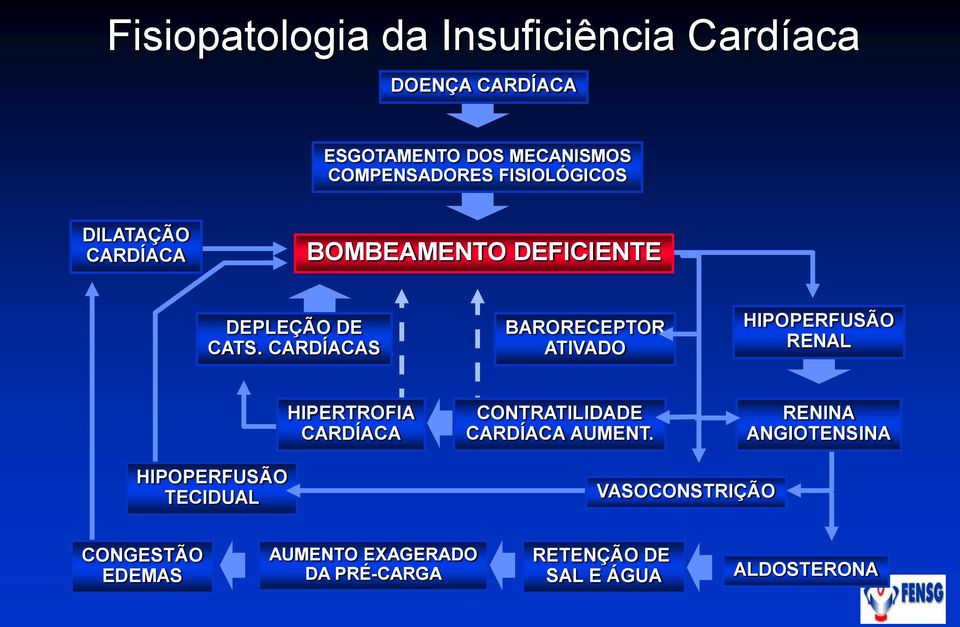 CARDÍACAS BARORECEPTOR ATIVADO HIPOPERFUSÃO RENAL HIPERTROFIA CARDÍACA CONTRATILIDADE CARDÍACA AUMENT.