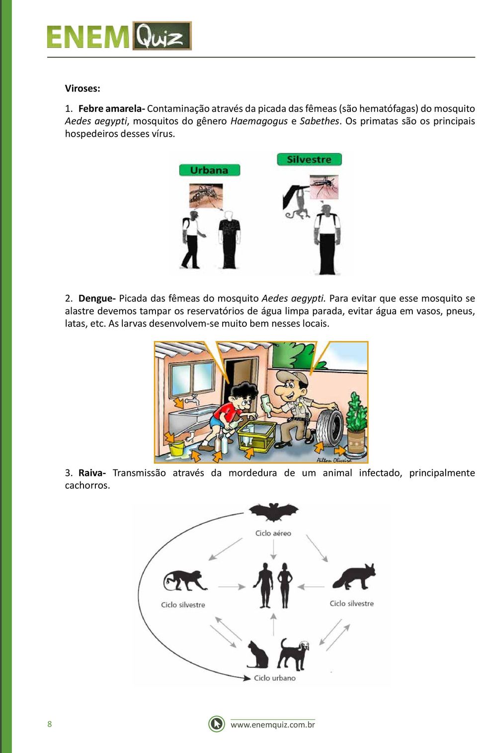 Sabethes. Os primatas são os principais hospedeiros desses vírus. 2. Dengue- Picada das fêmeas do mosquito Aedes aegypti.