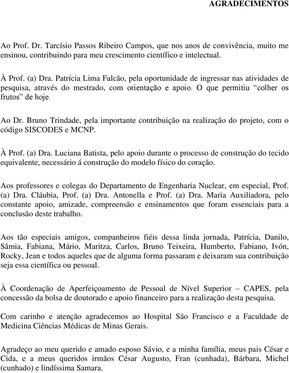 Bruno Trindade, pela importante contribuição na realização do projeto, com o código SISCODES e MCNP. À Prof. (a) Dra.