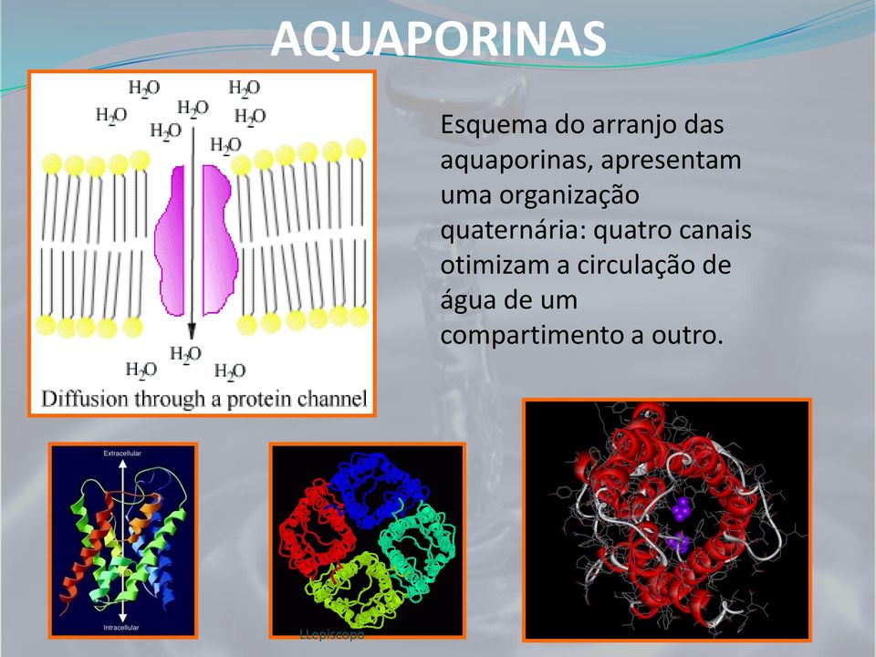 quaternária: quatro canais otimizam a