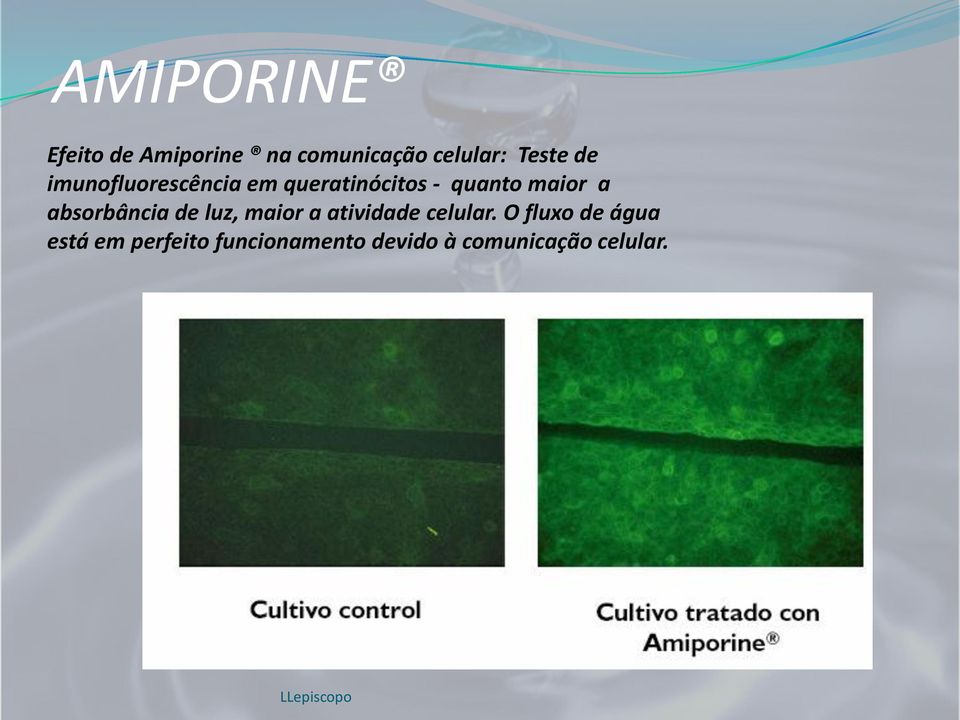 absorbância de luz, maior a atividade celular.