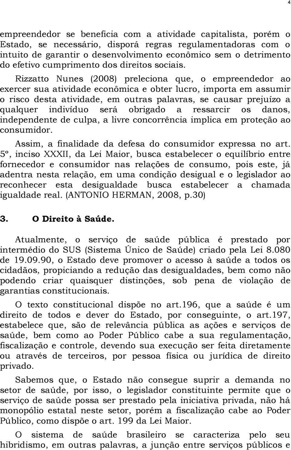 Rizzatto Nunes (2008) preleciona que, o empreendedor ao exercer sua atividade econômica e obter lucro, importa em assumir o risco desta atividade, em outras palavras, se causar prejuízo a qualquer