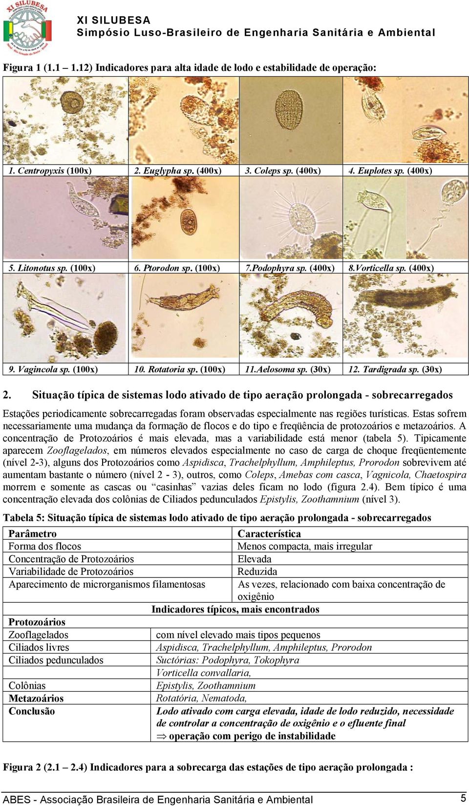 Situação típica de sistemas lodo ativado de tipo aeração prolongada - sobrecarregados Estações periodicamente sobrecarregadas foram observadas especialmente nas regiões turísticas.