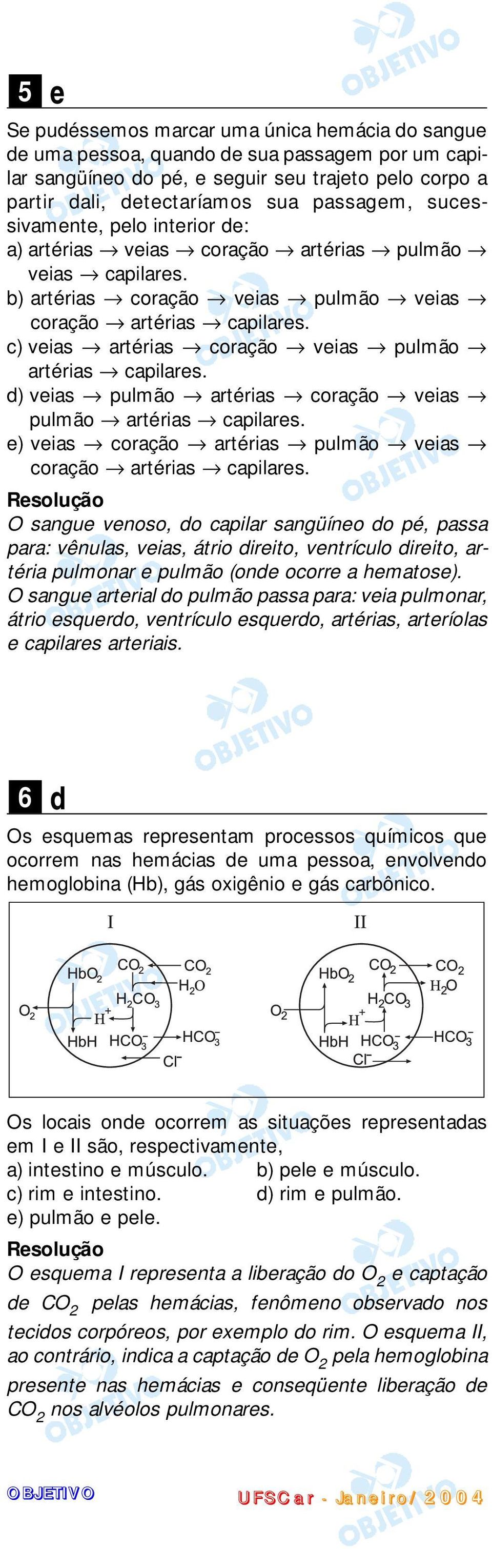 c) veias artérias coração veias pulmão artérias capilares. d) veias pulmão artérias coração veias pulmão artérias capilares. e) veias coração artérias pulmão veias coração artérias capilares.