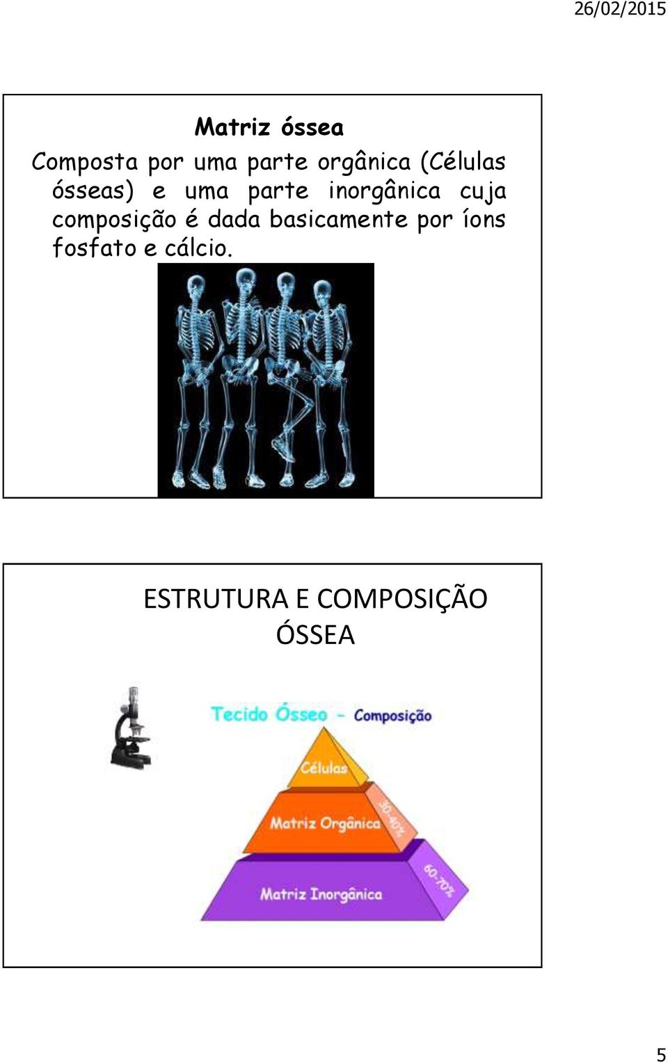 composição é dada basicamente por íons