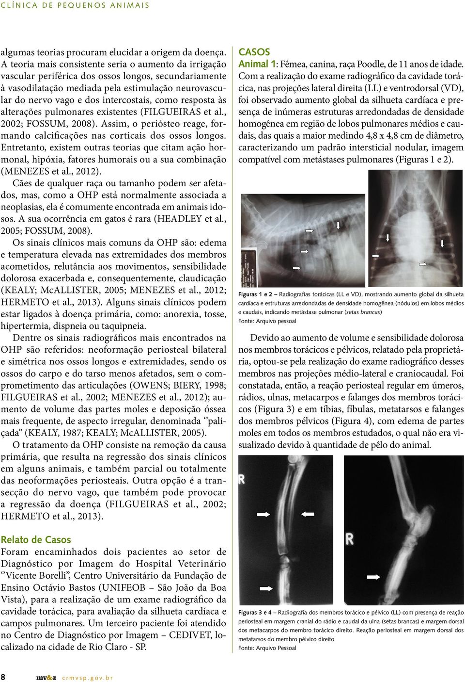 como resposta às alterações pulmonares existentes (FILGUEIRAS et al., 2002; FOSSUM, 2008). Assim, o periósteo reage, formando calcificações nas corticais dos ossos longos.