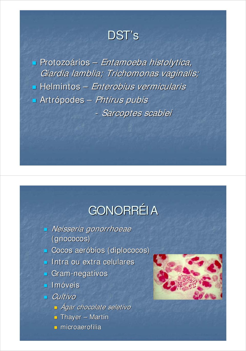 GONORRÉIA Neisseria gonorrhoeae (gnococos) Cocos aeróbios (diplococos) Intra ou extra