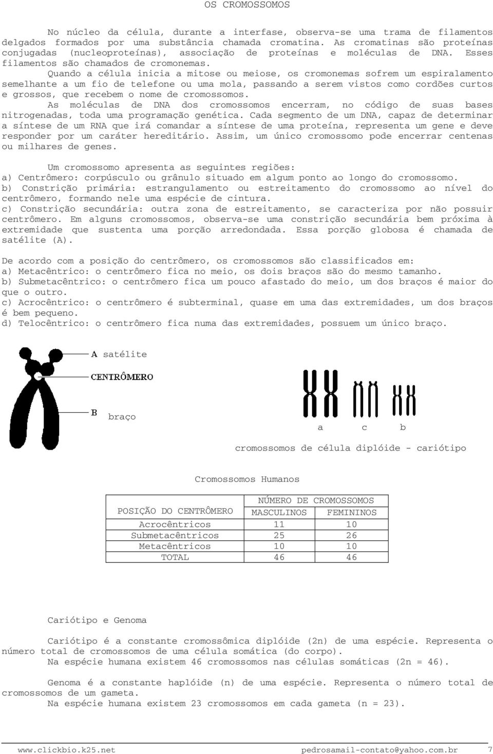 Quando a célula inicia a mitose ou meiose, os cromonemas sofrem um espiralamento semelhante a um fio de telefone ou uma mola, passando a serem vistos como cordões curtos e grossos, que recebem o nome