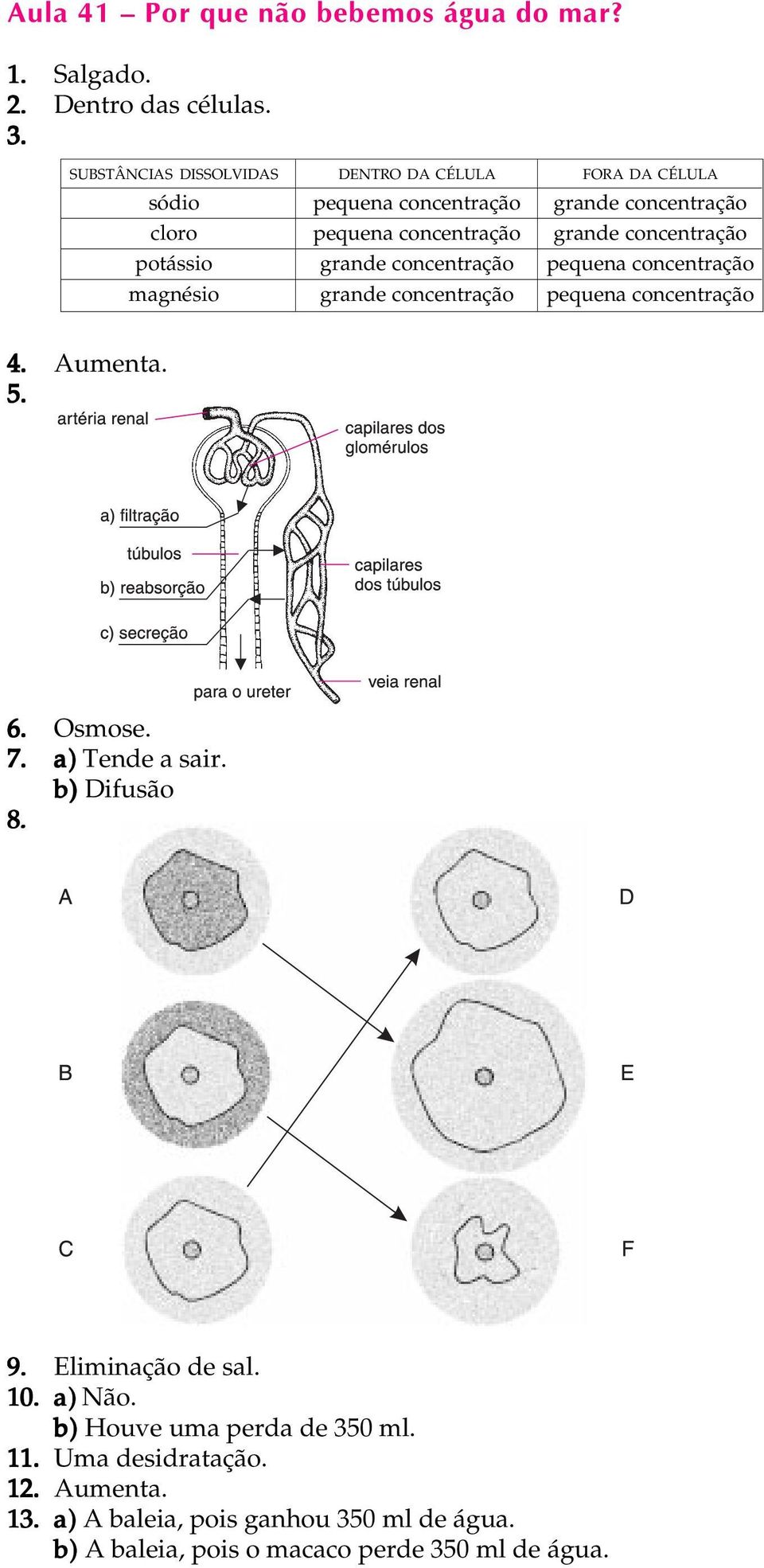 concentração FORA DA CÉLULA grande concentração grande concentração pequena concentração pequena concentração 4. Aumenta. 5. 6. Osmose. 7.