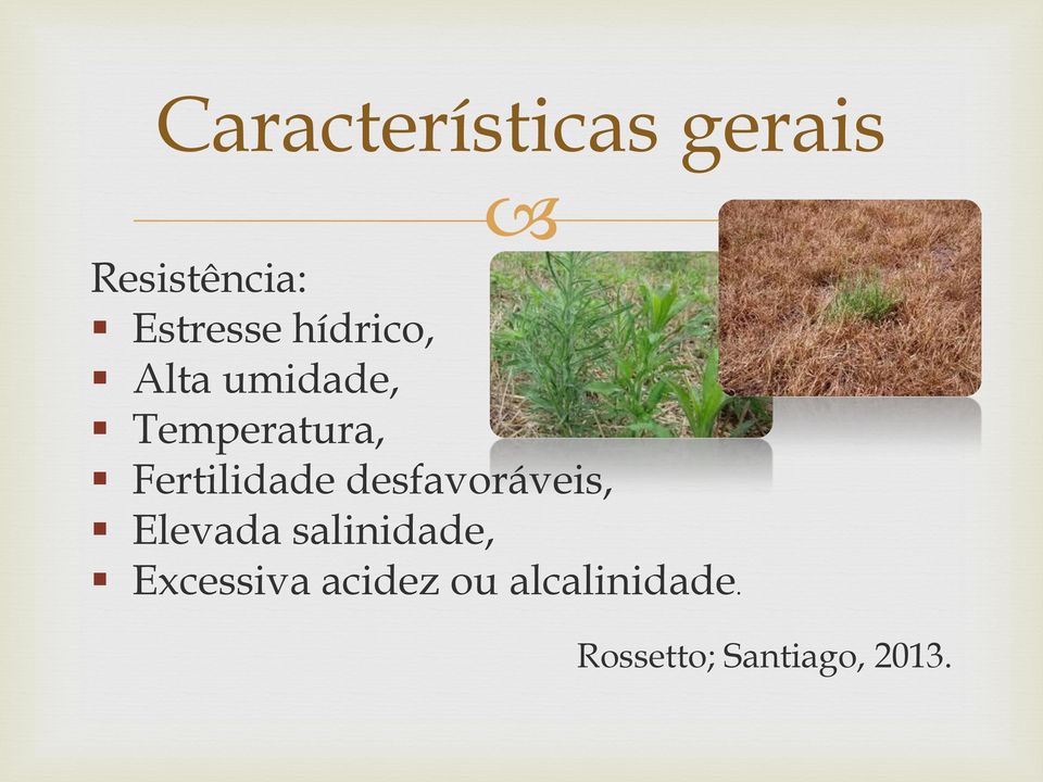 Fertilidade desfavoráveis, Elevada salinidade,