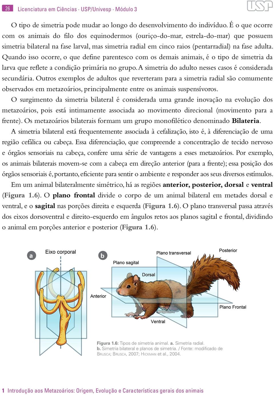 Quando isso ocorre, o que define parentesco com os demais animais, é o tipo de simetria da larva que reflete a condição primária no grupo. A simetria do adulto nesses casos é considerada secundária.