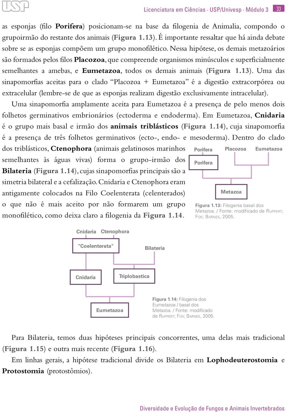 Nessa hipótese, os demais metazoários são formados pelos filos Placozoa, que compreende organismos minúsculos e superficialmente semelhantes a amebas, e Eumetazoa, todos os demais animais (Figura 1.