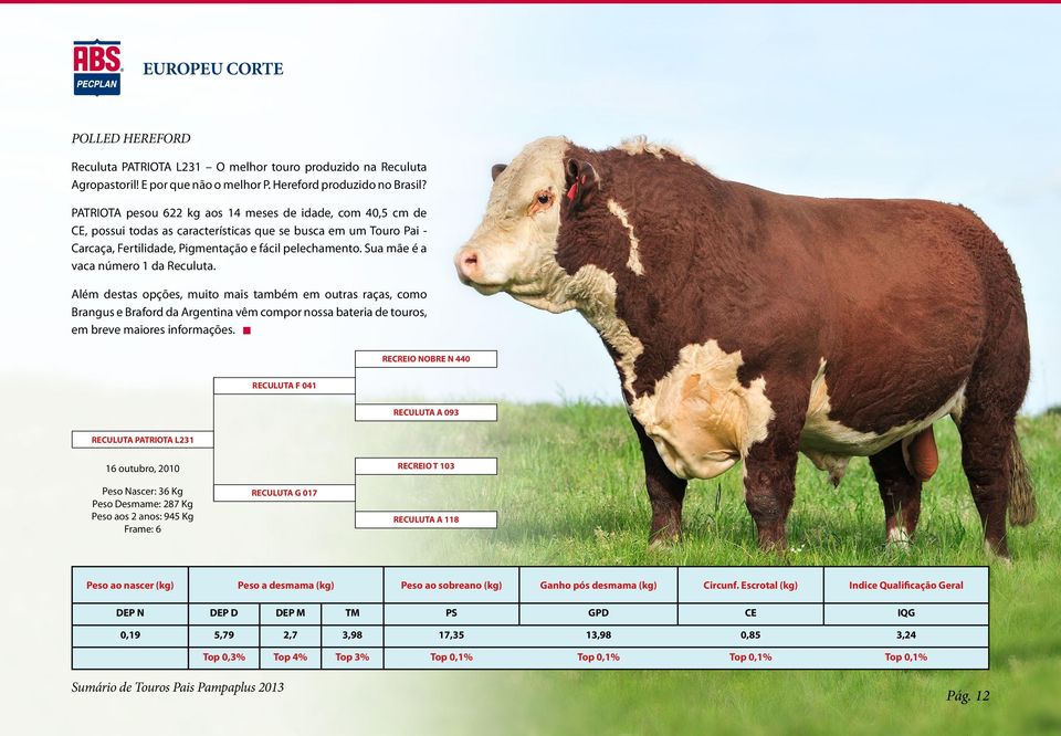 Sua mãe é a vaca número 1 da Reculuta. Além destas opções, muito mais também em outras raças, como Brangus e Braford da Argentina vêm compor nossa bateria de touros, em breve maiores informações.