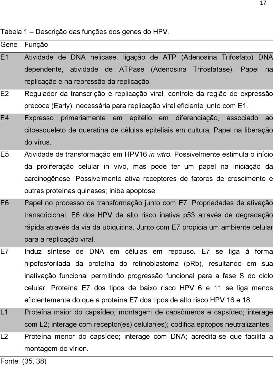 E2 Regulador da transcrição e replicação viral, controle da região de expressão precoce (Early), necessária para replicação viral eficiente junto com E1.