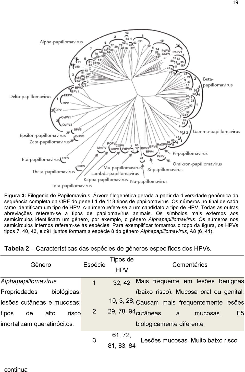Os símbolos mais externos aos semicírculos identificam um gênero, por exemplo, o gênero Alphapapillomavírus. Os números nos semicírculos internos referem-se às espécies.