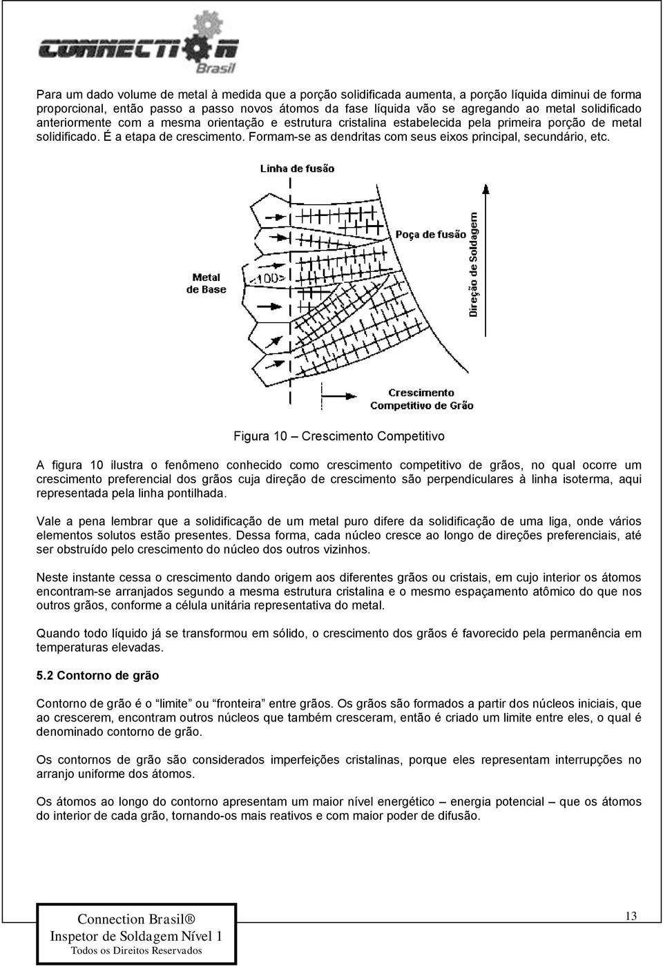 Formam-se as dendritas com seus eixos principal, secundário, etc.