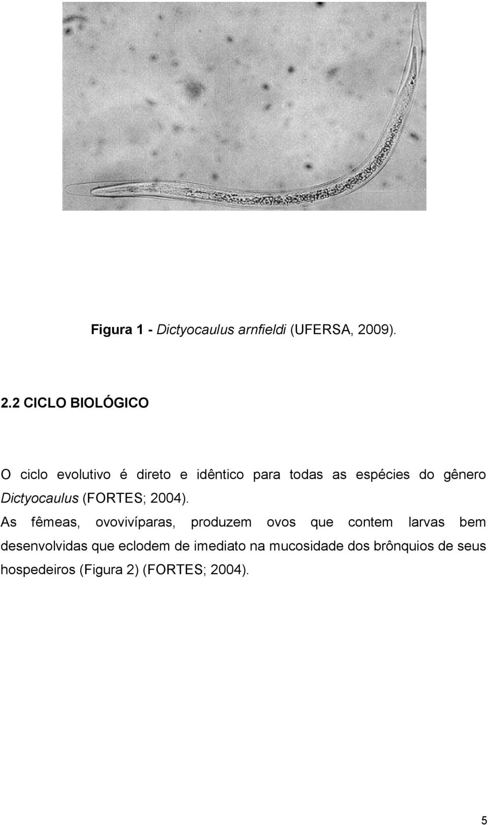 2 CICLO BIOLÓGICO O ciclo evolutivo é direto e idêntico para todas as espécies do