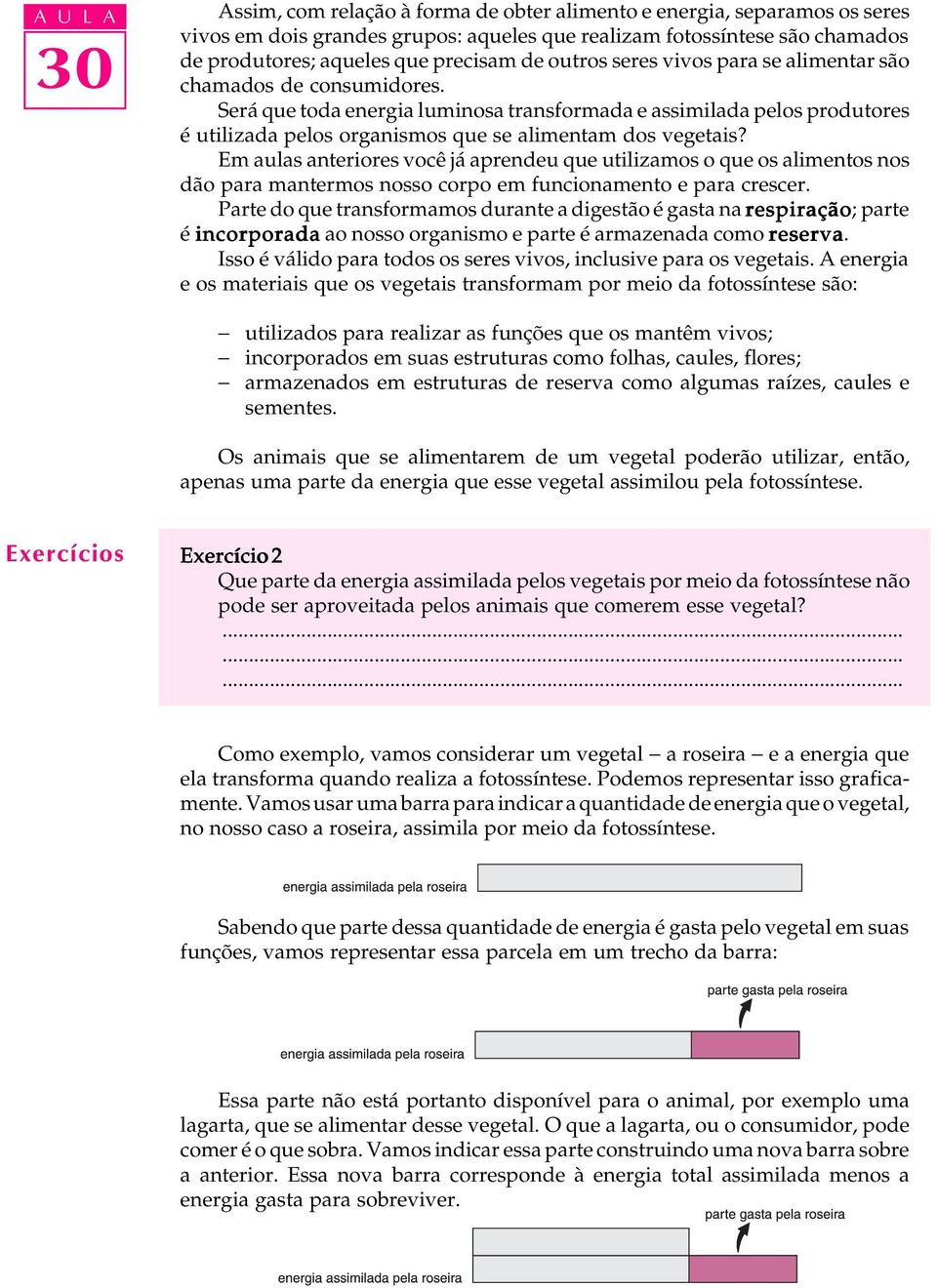 Em aulas anteriores você já aprendeu que utilizamos o que os alimentos nos dão para mantermos nosso corpo em funcionamento e para crescer.