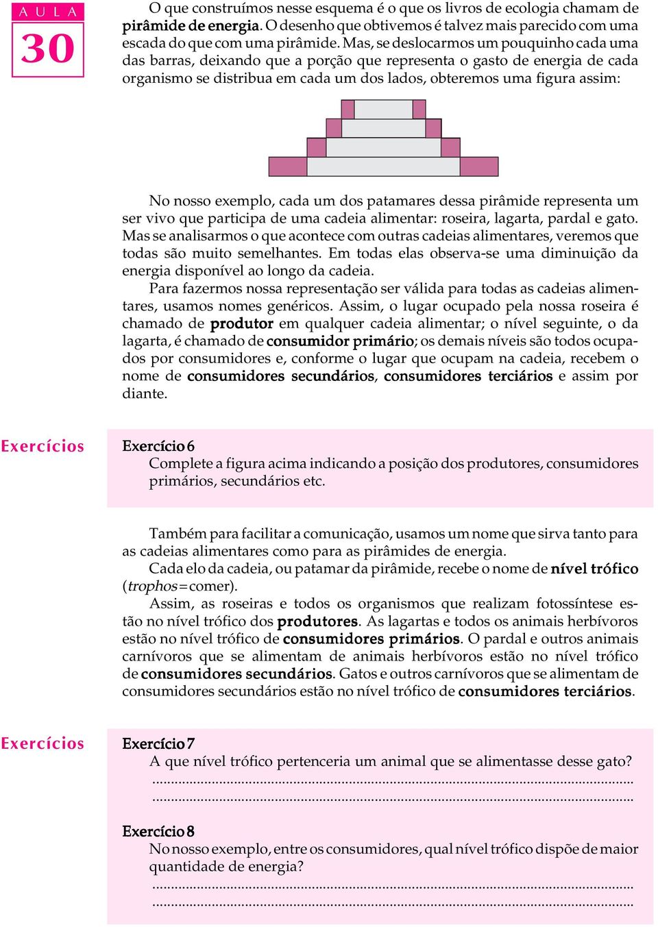 exemplo, cada um dos patamares dessa pirâmide representa um ser vivo que participa de uma cadeia alimentar: roseira, lagarta, pardal e gato.