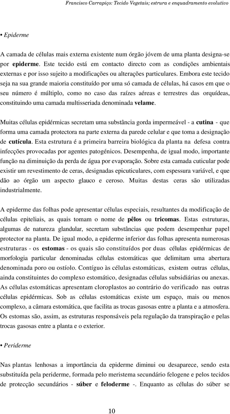 Embora este tecido seja na sua grande maioria constituído por uma só camada de células, há casos em que o seu número é múltiplo, como no caso das raízes aéreas e terrestres das orquídeas,