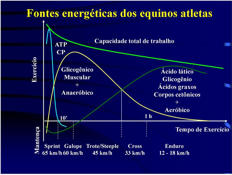 Glicogênio Ácidos graxos Corpos cetônicos + Aeróbico Tempo de