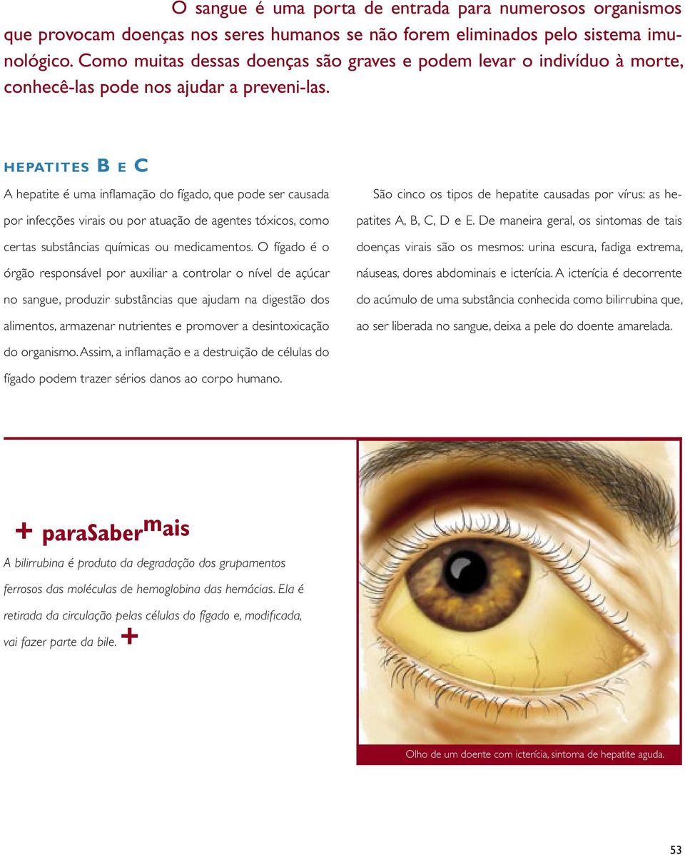 HEPATITES B E C A hepatite é uma inflamação do fígado, que pode ser causada por infecções virais ou por atuação de agentes tóxicos, como certas substâncias químicas ou medicamentos.