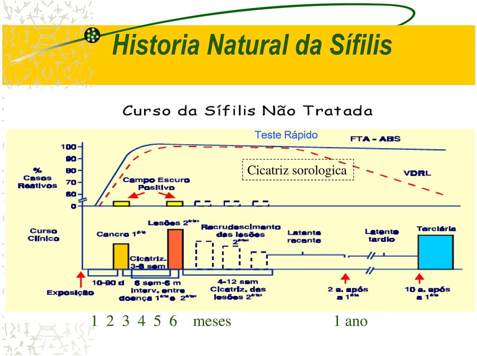 Cicatriz sorologica