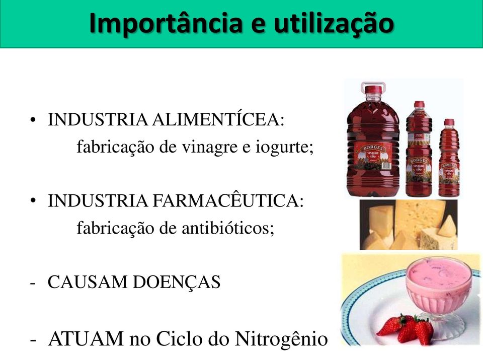 iogurte; INDUSTRIA FARMACÊUTICA: fabricação