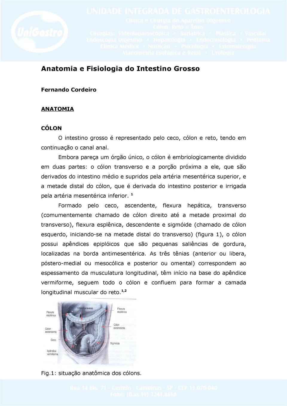 mesentérica superior, e a metade distal do cólon, que é derivada do intestino posterior e irrigada pela artéria mesentérica inferior.