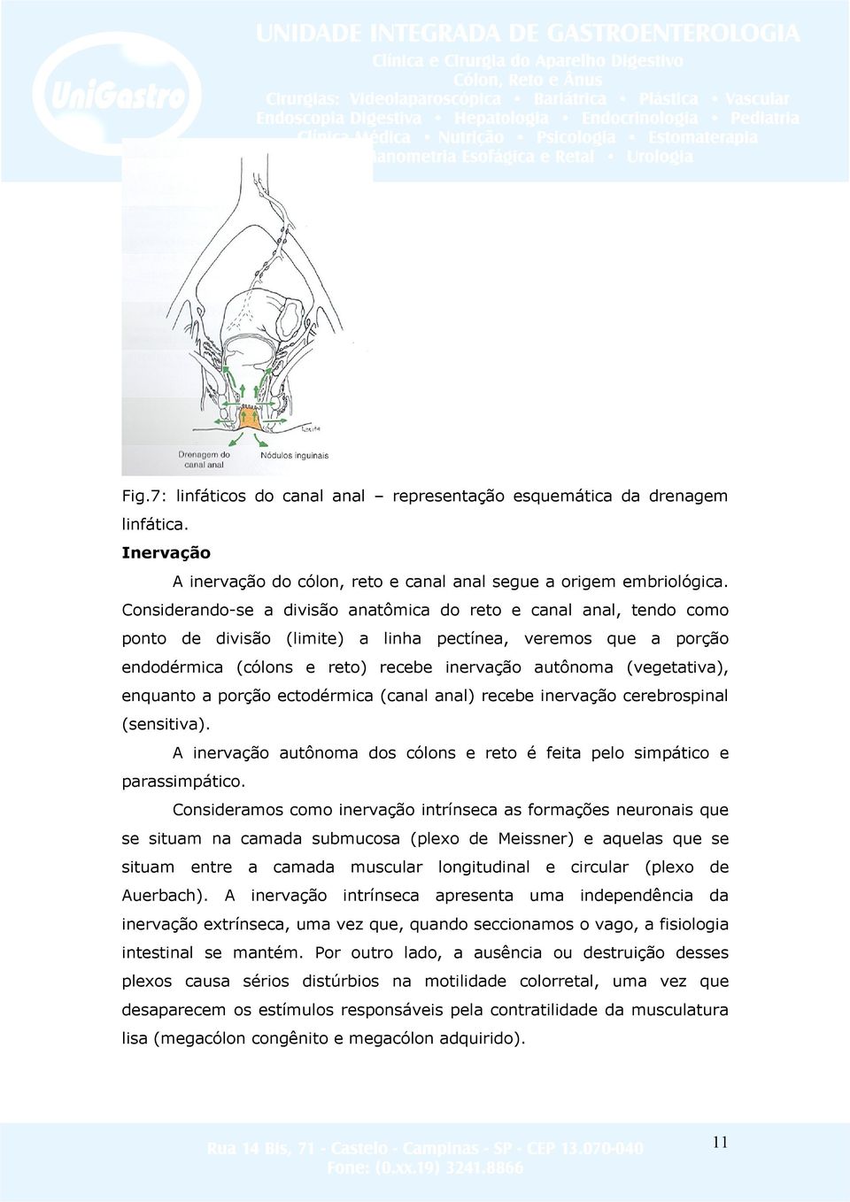 (vegetativa), enquanto a porção ectodérmica (canal anal) recebe inervação cerebrospinal (sensitiva). A inervação autônoma dos cólons e reto é feita pelo simpático e parassimpático.