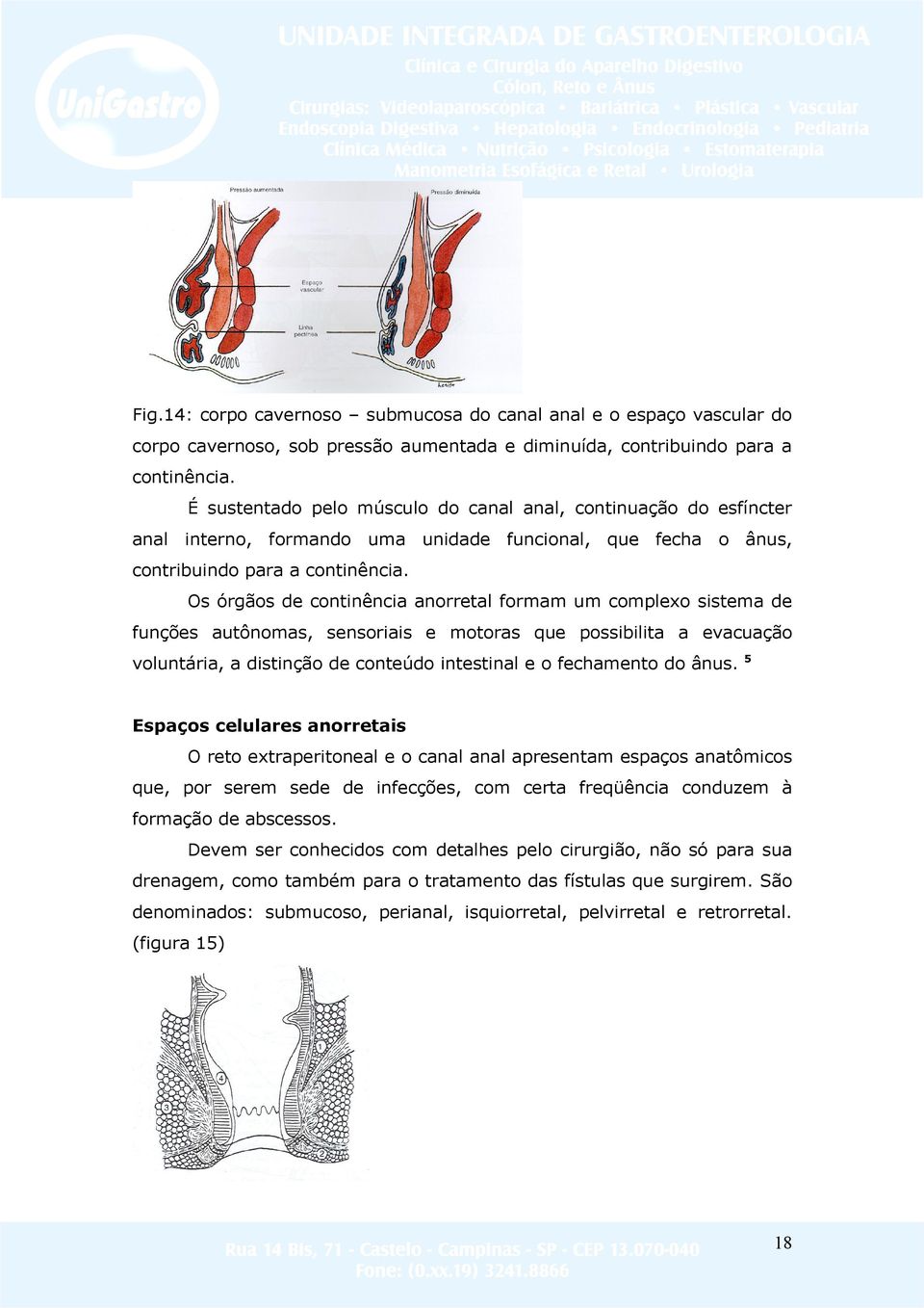 Os órgãos de continência anorretal formam um complexo sistema de funções autônomas, sensoriais e motoras que possibilita a evacuação voluntária, a distinção de conteúdo intestinal e o fechamento do