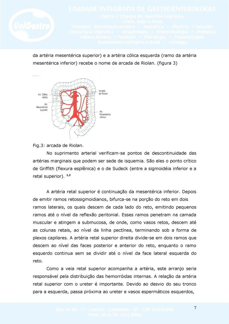 São eles o ponto crítico de Griffith (flexura esplênica) e o de Sudeck (entre a sigmoidéia inferior e a retal superior). 1,2 A artéria retal superior é continuação da mesentérica inferior.